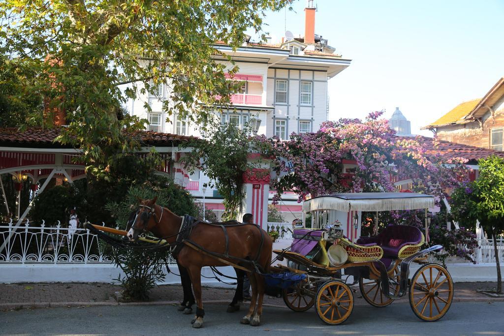 Merit Halki Palace Hotel 헤이벨리아다 외부 사진